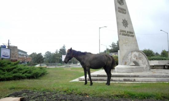 Новини